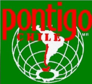 Pontigo